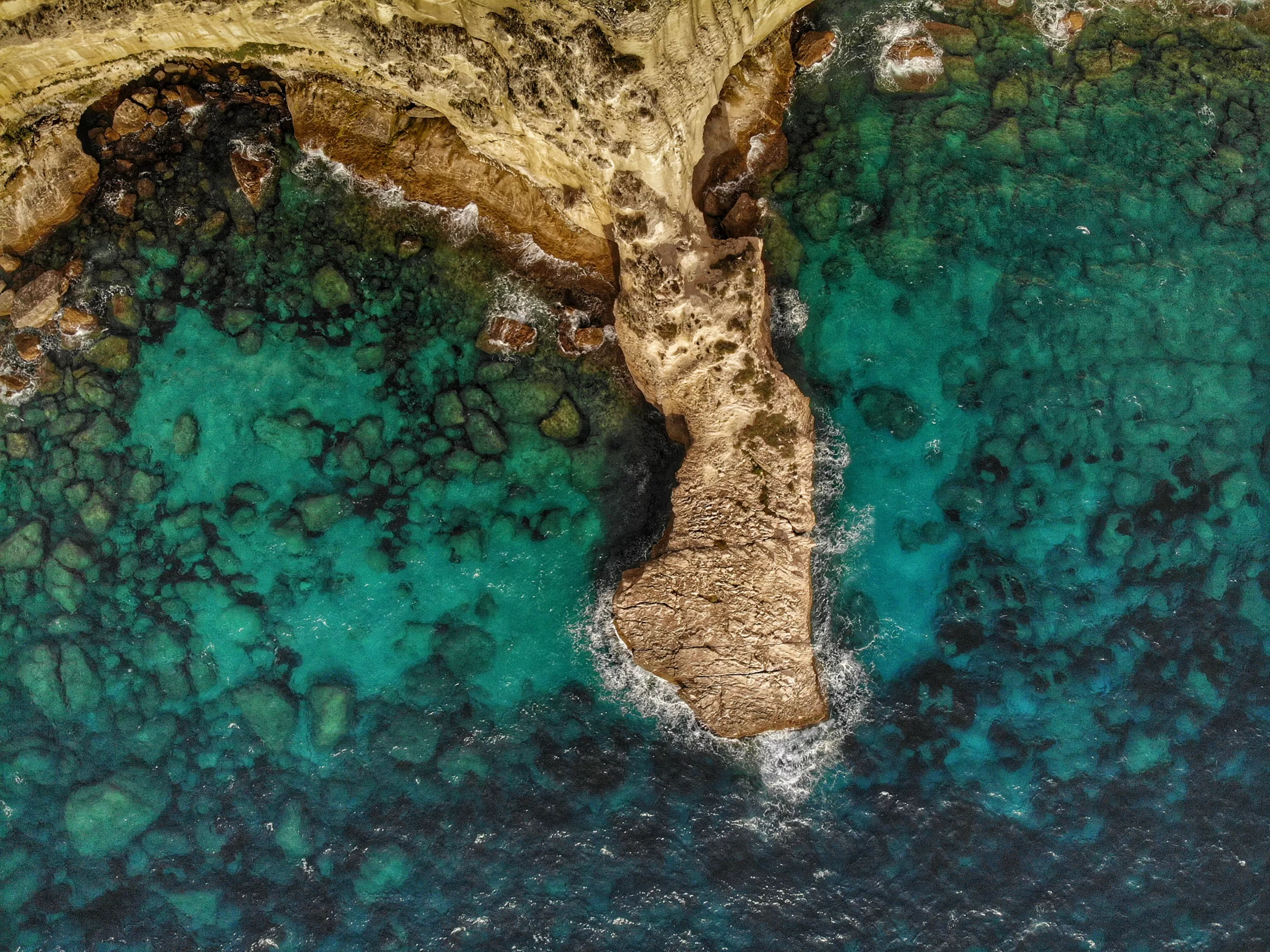bernd-dittrich-9GD4ijvRsTw-unsplash